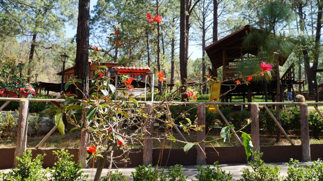 ホテル Rincon Del Bosque マサミトラ エクステリア 写真