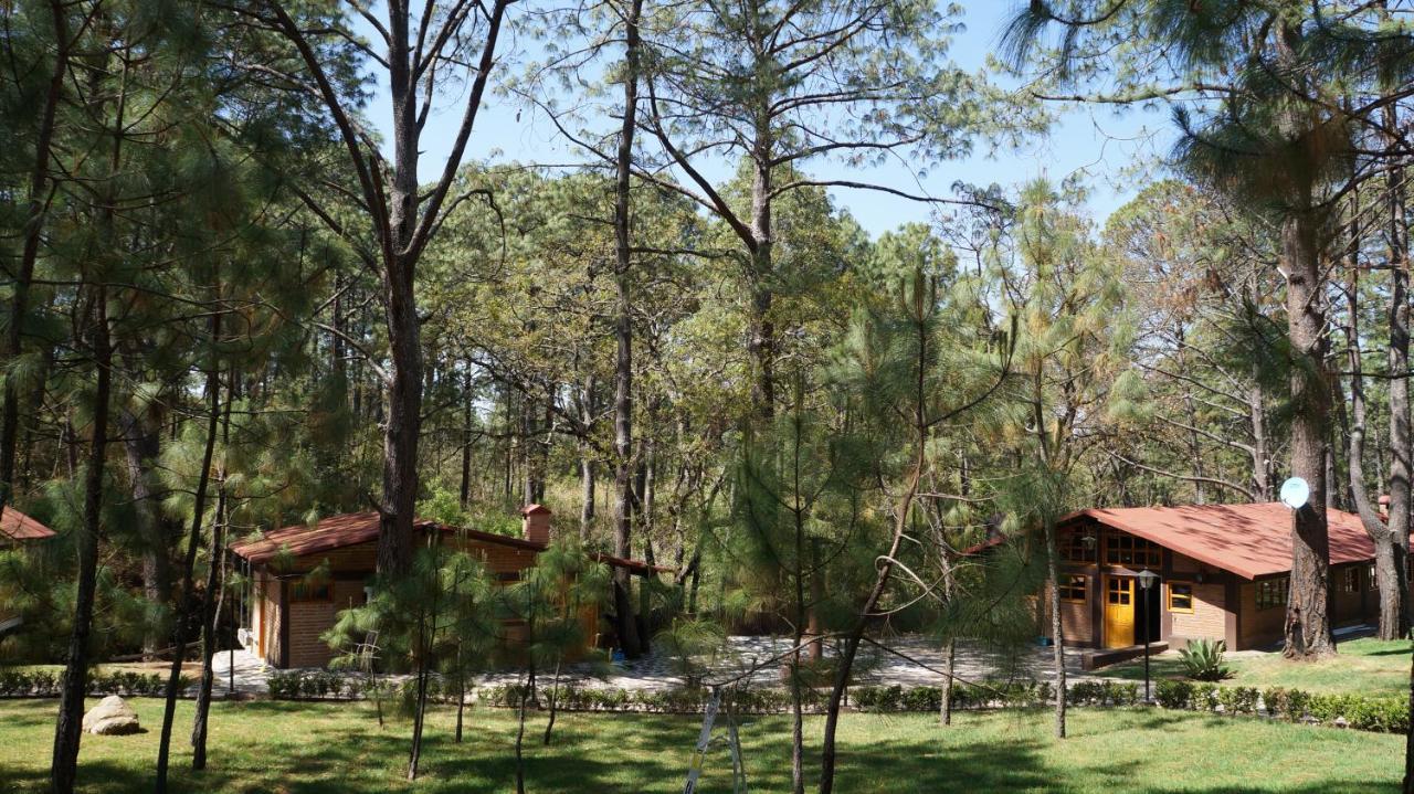 ホテル Rincon Del Bosque マサミトラ エクステリア 写真