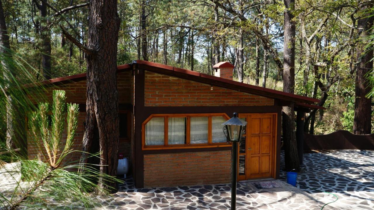 ホテル Rincon Del Bosque マサミトラ エクステリア 写真